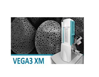 TESCAN扫描电镜VEGA3 XM