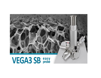 TESCAN扫描电镜VEGA 3 SBU - EasyProbe
