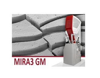 TESCAN扫描电镜MIRA3 GM