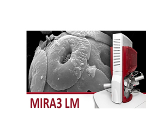 TESCAN扫描电镜MIRA3 LM