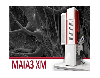 TESCAN扫描电镜MAIA3 XM