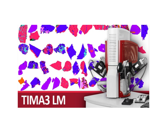 TESCAN扫描电镜TIMA3 LM