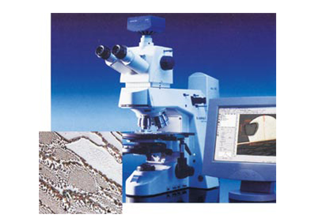 蔡司显微镜Axioskop 2 MAT