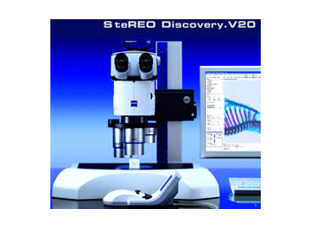 蔡司体视显微镜SteREO Discovery.V20