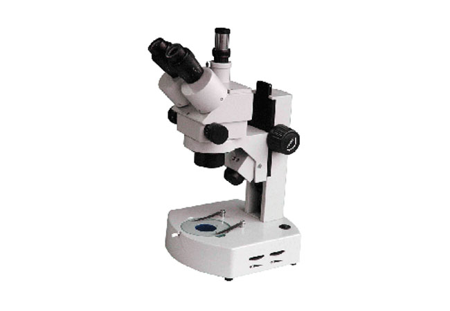 体视显微镜XTL-31