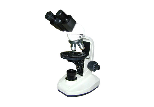 偏光显微镜XPL-20