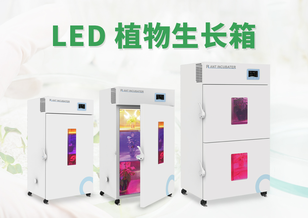 谈谈植物培养中重要的光照条件