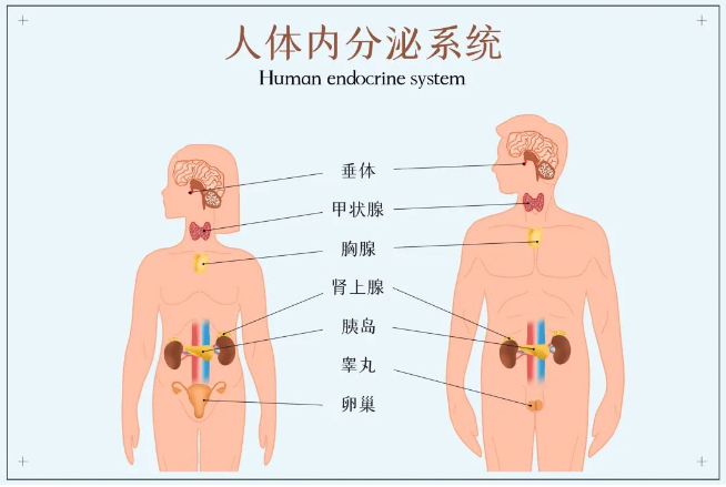 剑指水质典型环境激素，助力新污染物监测治理